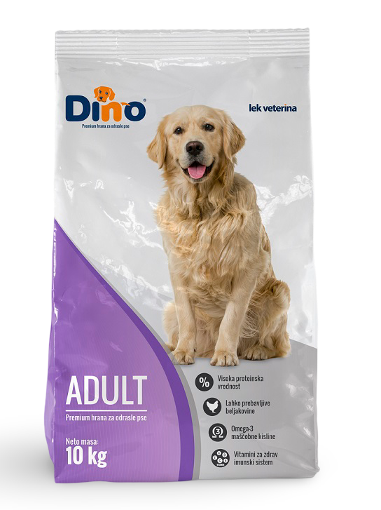 Dino ADULT