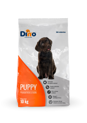 Dino PUPPY