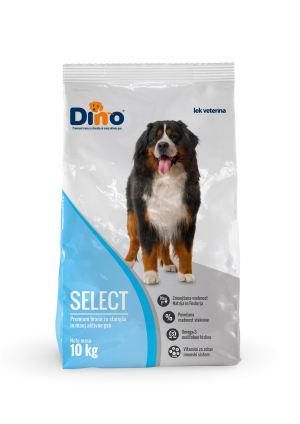 Dino SELECT