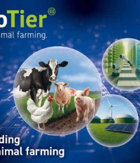 banner-euro-tier-facebook-en_low